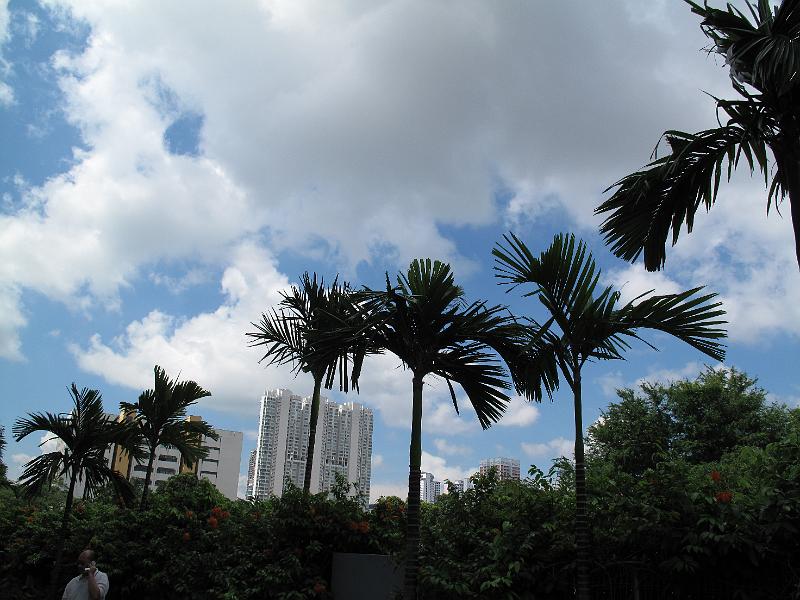 IMG_3930.JPG