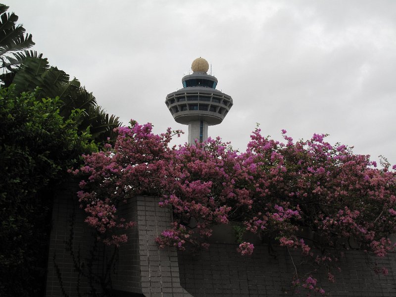 IMG_7423.JPG