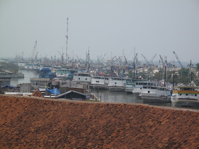 IMG_7771.JPG
