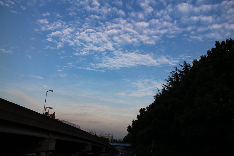 IMG_0235.JPG