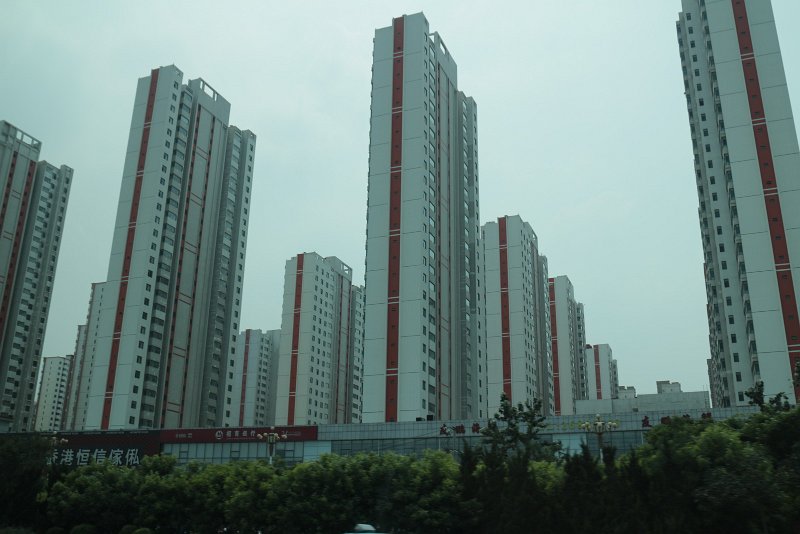 IMG-0019.JPG