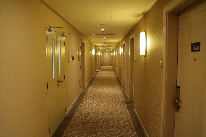 IMG-0042.JPG