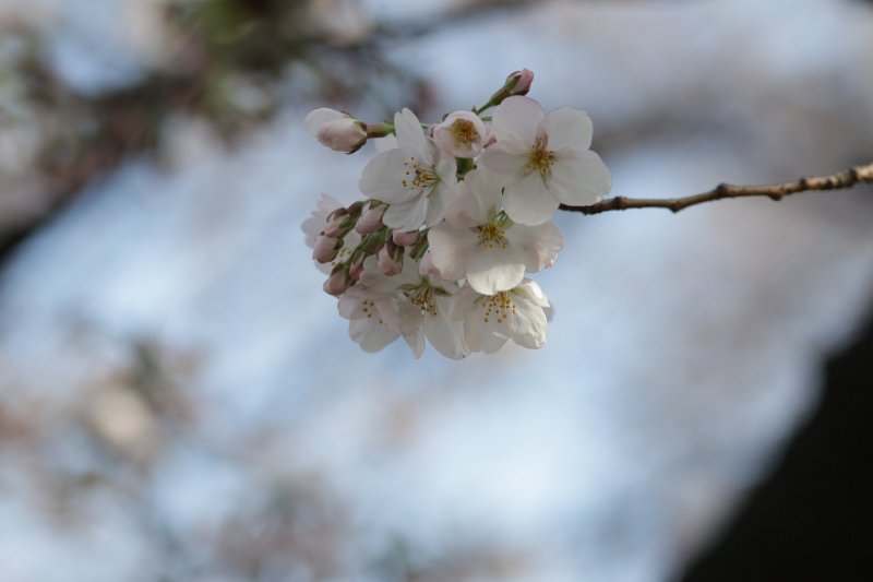 IMG_0003.JPG