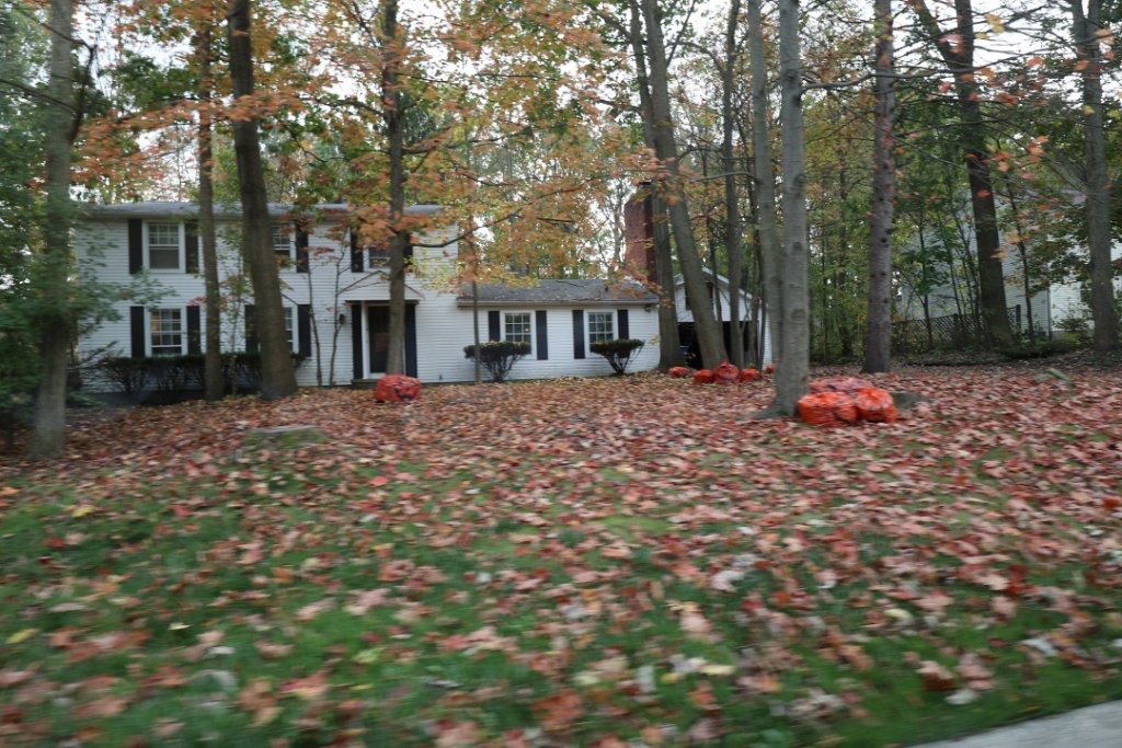 IMG_0209.JPG