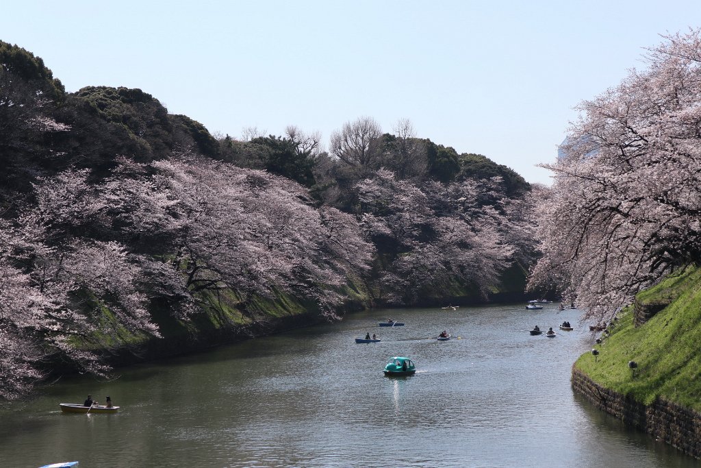 IMG_2100.JPG - 千鳥ヶ淵 Tokyo Japan