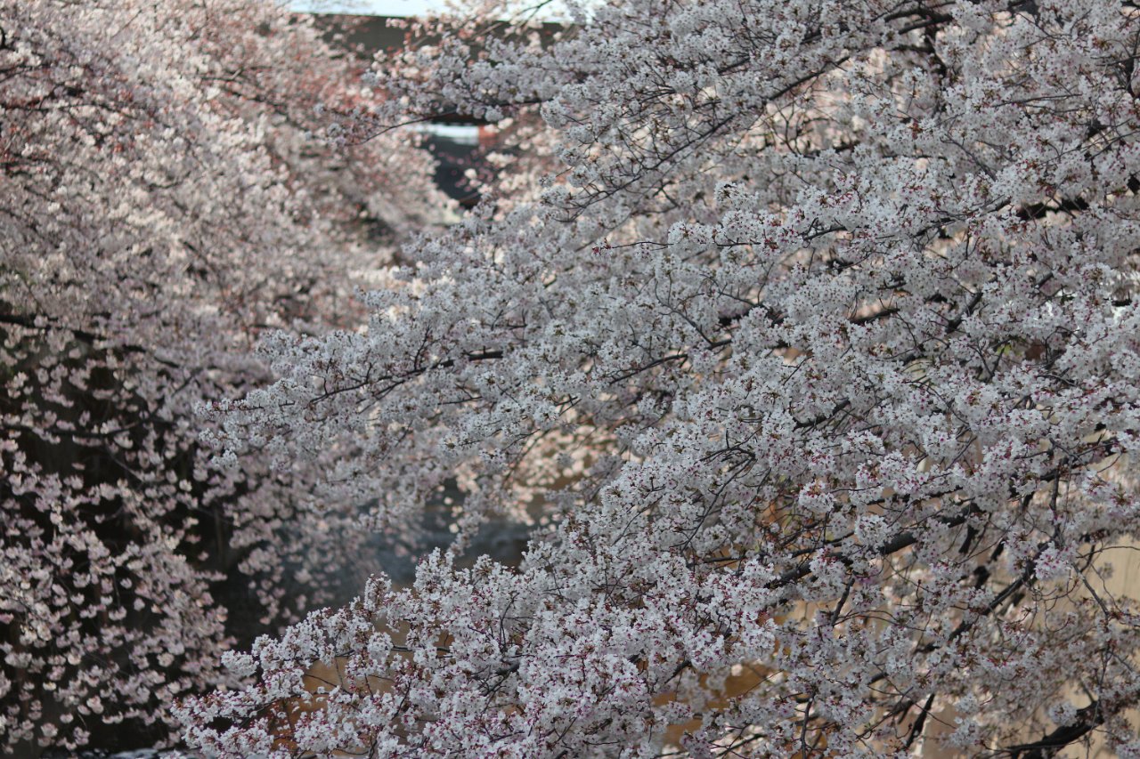 IMG_0030.JPG